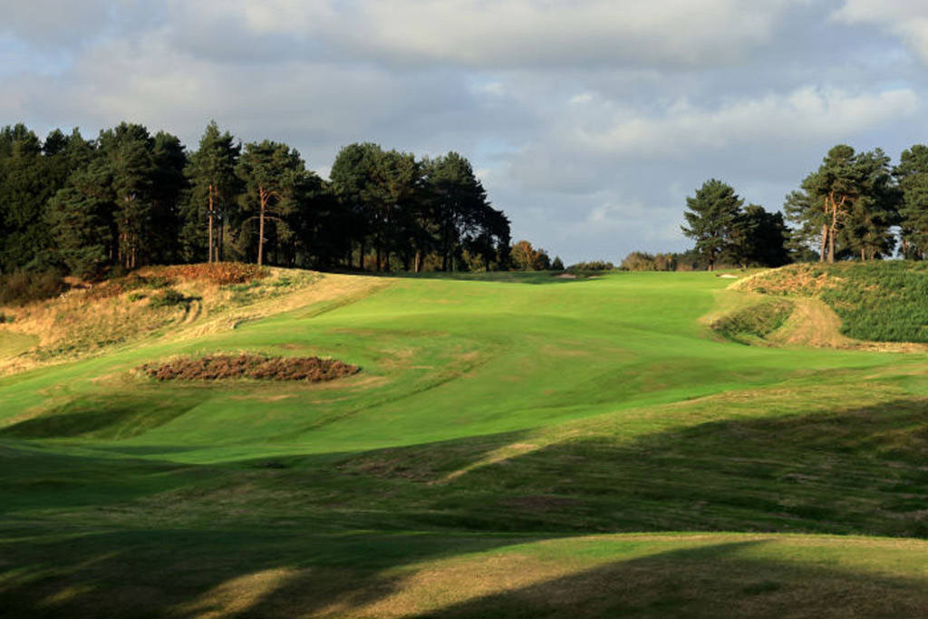 A view of a fairway at Delamere Forest Golf Club